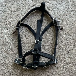 GreenGuard Equine Premium Breakaway Halter (Cob Size in Black)